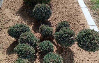 Из буџета данас издвојено близу 2,9 милиона динара за редовне трошкове Градске управе, образовних и установа културе