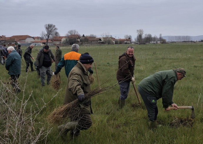 Акција пошумљавања поводом Међународног дана шума