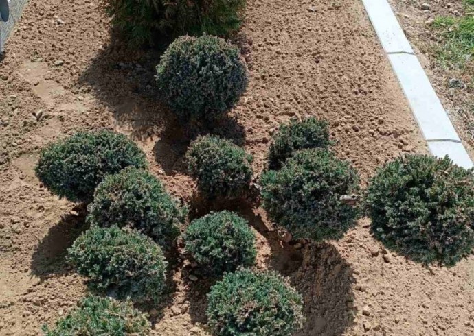 Из буџета данас издвојено близу 2,9 милиона динара за редовне трошкове Градске управе, образовних и установа културе