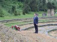 Обележен Дан победе над фашизмом: Као перспективна држава, Србија жели пут мира и благостања