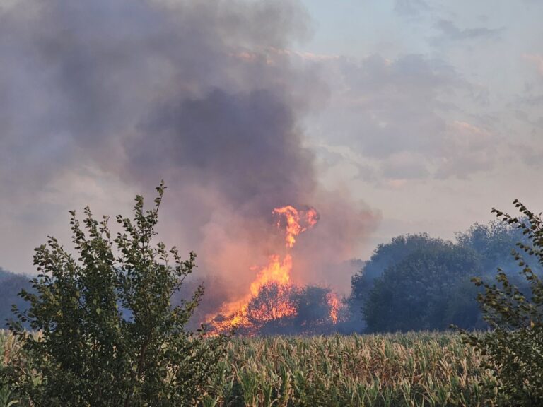 Стоп паљењу ватре на отвореном! – Немар или непажња може да направи велику штету и да доведе људе у опасност - 2