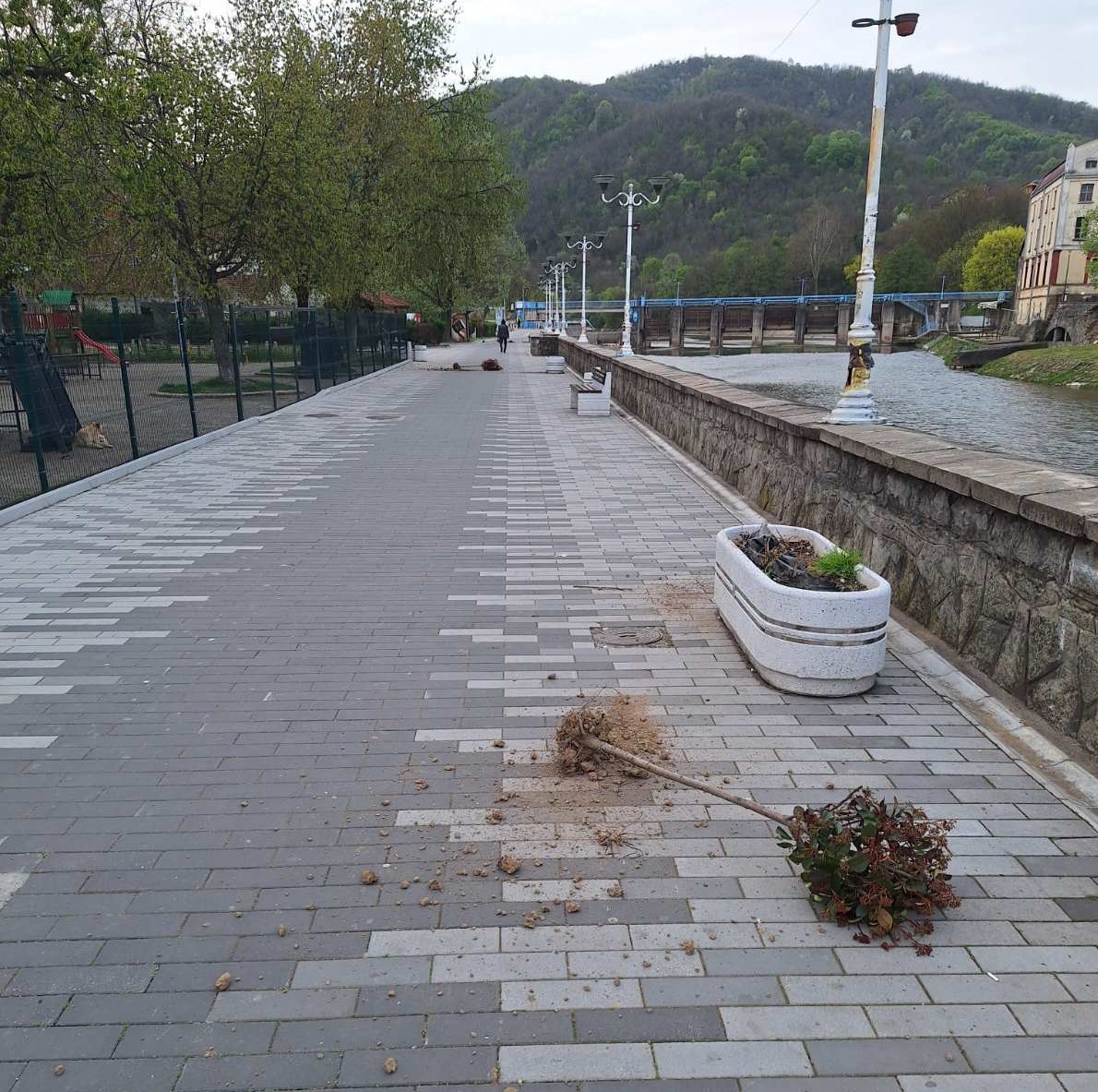 Шок на кеју: Почупане саднице, пустош остављена поред Власине - 2