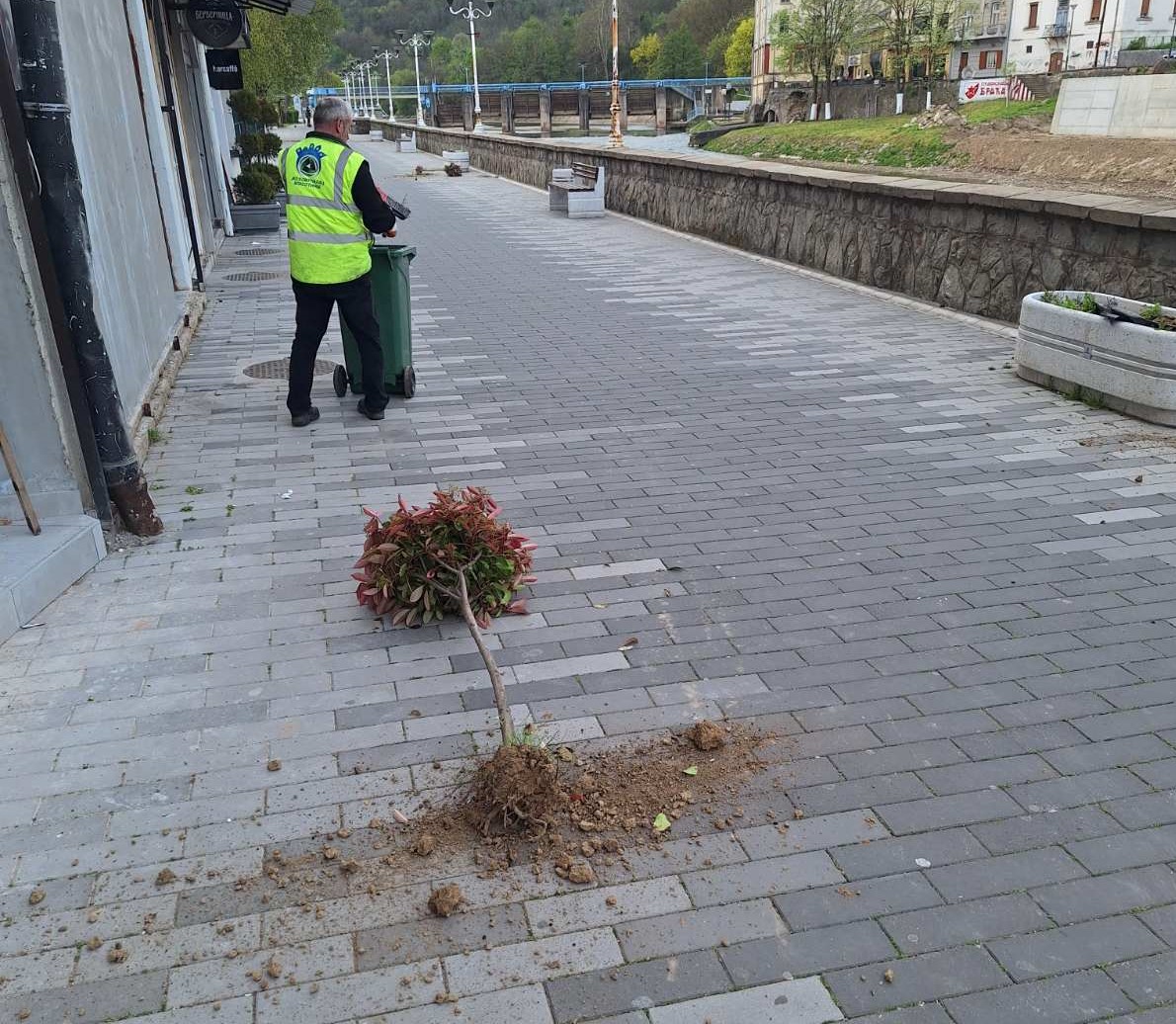 Шок на кеју: Почупане саднице, пустош остављена поред Власине