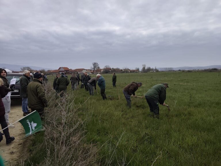 Акција пошумљавања поводом Међународног дана шума