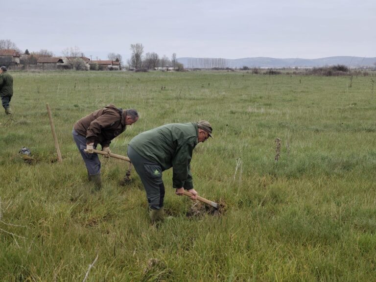Акција пошумљавања поводом Међународног дана шума - 2